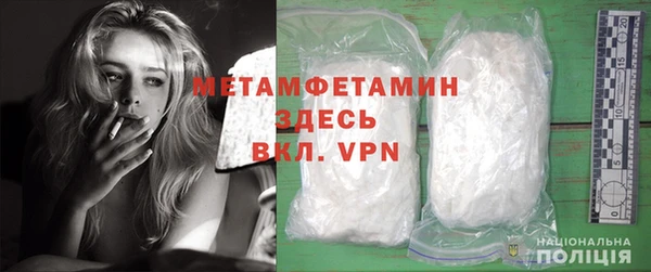 индика Дмитриев