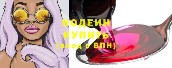 твердый Гусев