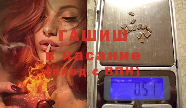 твердый Гусев