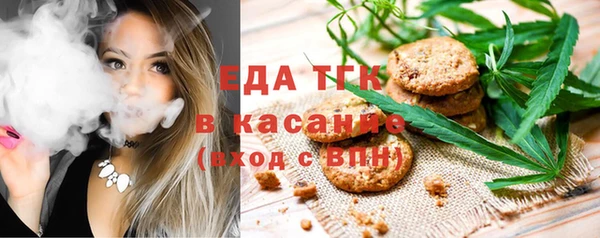 индика Дмитриев
