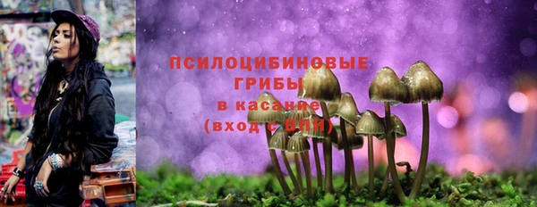 соль ск Усинск