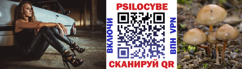 что такое   Устюжна  Галлюциногенные грибы Psilocybine cubensis 